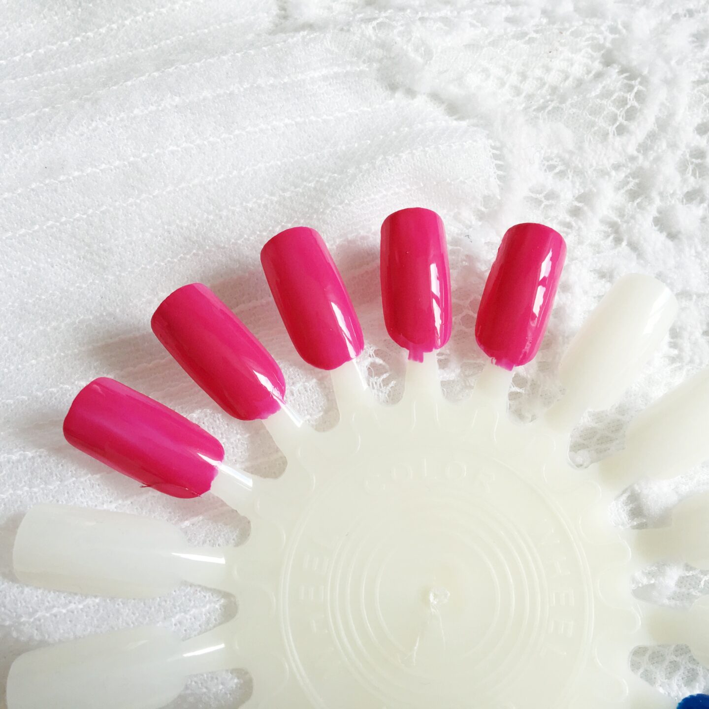 Roxanne Campbell Review and Swatches* | Swatches