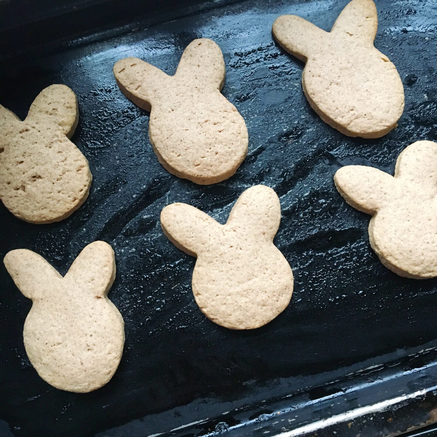 Cookies fresh out of the oven.