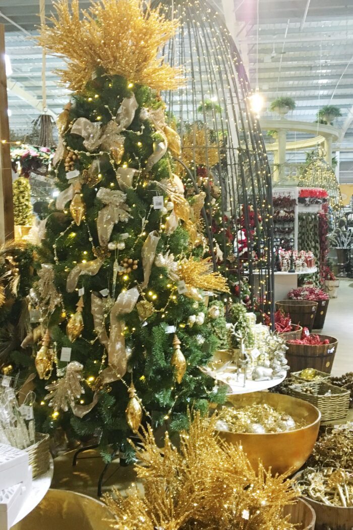 Cosy Winter Lifestyle Guide: My Ultimate Festive Bucket List