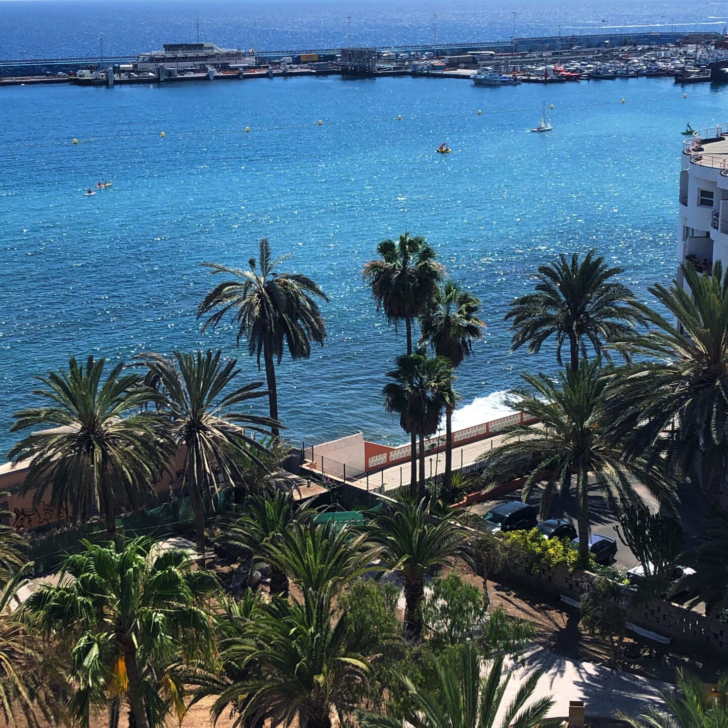 The Sea and Palm Trees