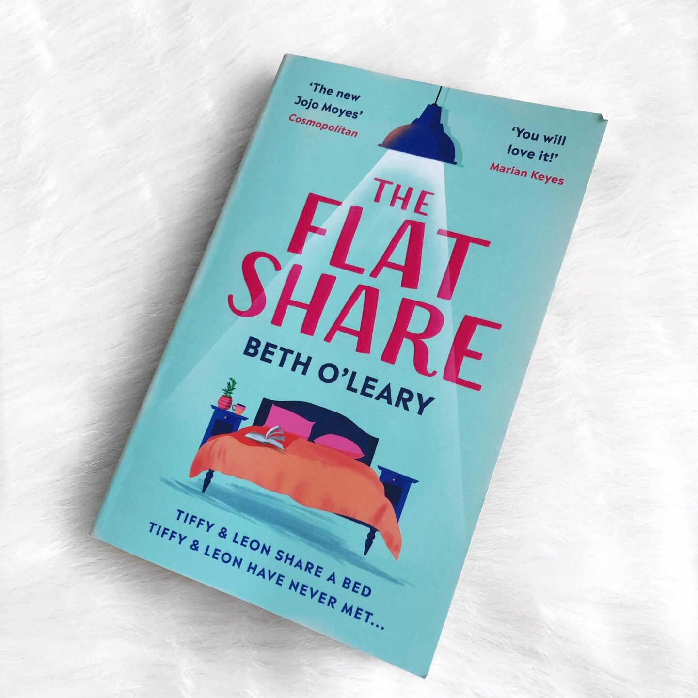 The flatshare book cover