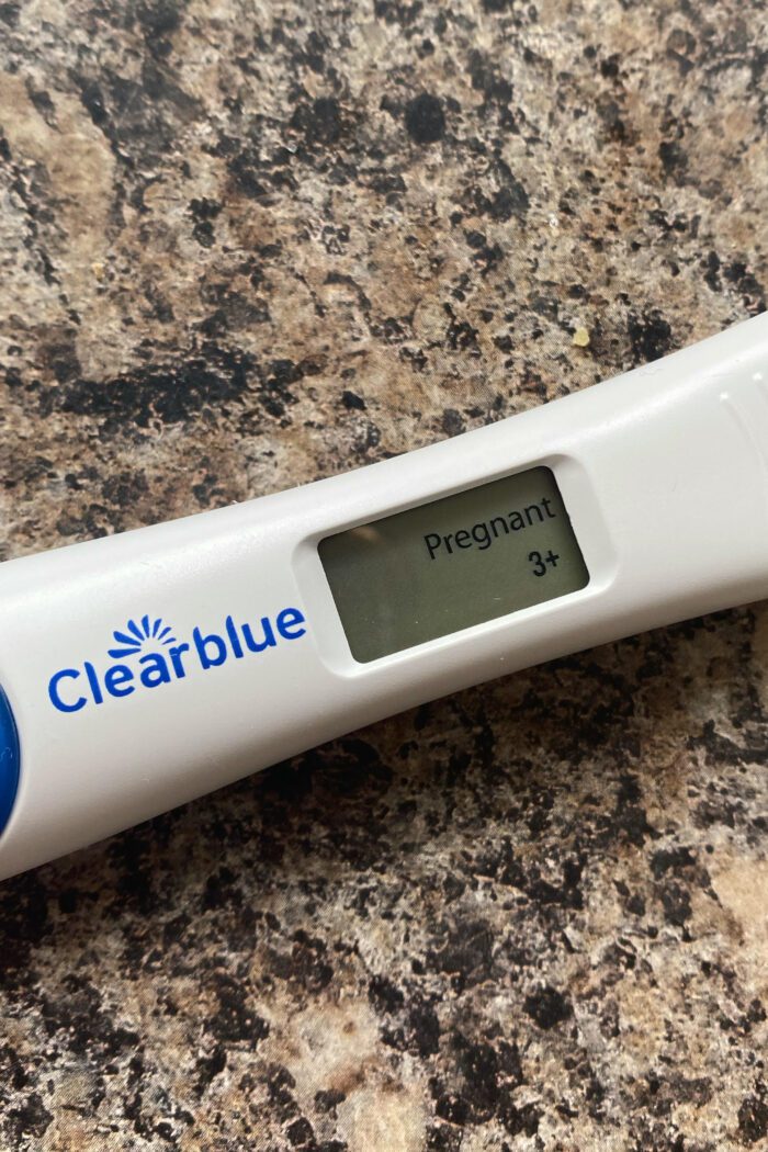 My First Trimester