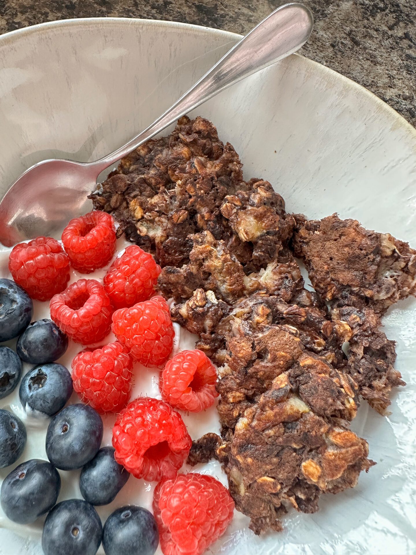 Close up of bowl with yogurt, blueberries and chocolate scrambled oats